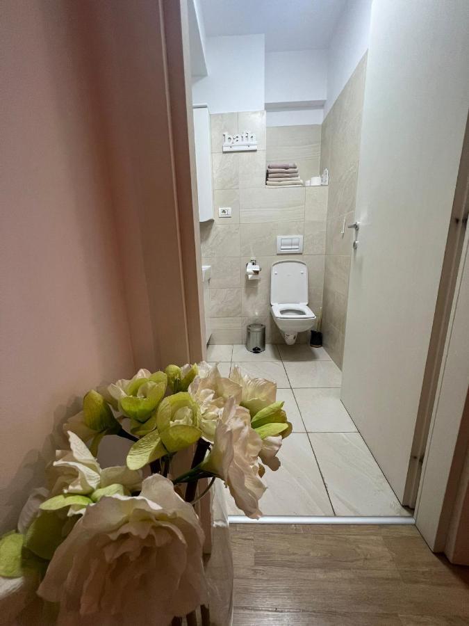 Apart Mihai Viteazu Residence 布拉索夫 外观 照片
